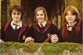 História: Hogwarts-7th year