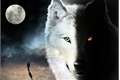 História: The wolves Shiro and Kuro