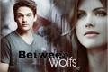 História: Between Wolfs