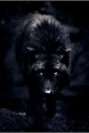 História: Darkwolf