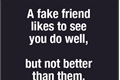 História: Fake Friends