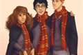 História: Harry Potter- deu a louca em Hogwarts