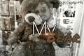 História: My Bear - L3ddy