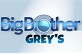 História: Big Brother Brasil - Grey&#39;s Anatomy