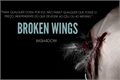 História: Broken Wings