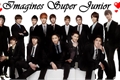 História: Imagine Super Junior SiWon