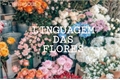 História: Linguagem das Flores