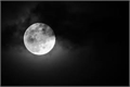 História: Moon Night