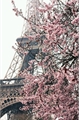 História: Paris