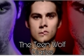 História: The Teen Wolf Diaries