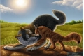 História: Amor de lobo e gata
