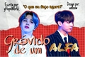 História: Gr&#225;vido de um Alfa (Jikook) (ABO)