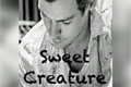História: Sweet Creature - H.S