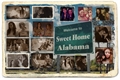 História: Sweet Home Alabama