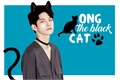 História: Ong, the black cat