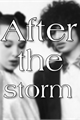 História: After the storm - Fillie