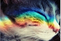 História: .Capa de gato colorido porque &#233; Bonitinho