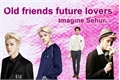 História: Old friends future lovers (Imagine Sehun)
