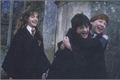 História: Harry Potter - Instagram