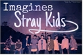 História: Imagines - Stray Kids