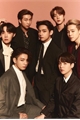 História: Os meus gatos s&#227;o h&#237;bridos (Imagine BTS)! EM CORRE&#199;&#195;O !