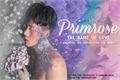 História: Primrose - The name of love