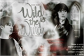 História: Wild Is The Wind