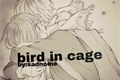 História: Bird in cage(ycaro)