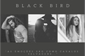 História: Black Bird