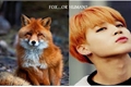 História: Fox...or human?...(Jikook)