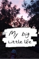 História: My big little life