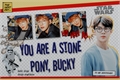 História: You are a Stone Pony, Bucky