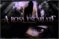 História: A Rosa Escarlate