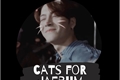 História: Cats for Jaebum.