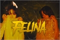 História: Felina - Seulrene