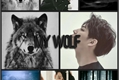 História: Imagine Im Jaebum (JB) - My Wolf - (GOT7)