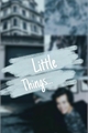 História: Little Things... (Harry Styles)