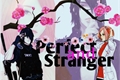 História: Perfect and Stranger