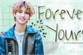 História: Forever Yours - Han Jisung