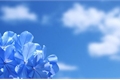 História: Blue Flowers