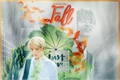 História: Fall - Jae (DAY6)
