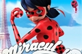 História: Miraculous as aventuras de Ladybug: Ladynoir