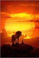 História: The Lion King - The Story Never Told