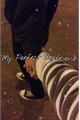 História: My Perfect Boyfriend - JaeWoo