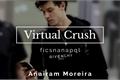 História: Virtual Crush