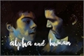 História: . - Alpha and Human &quot;Sterek&quot;-.