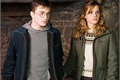 História: Harry e Hermione-Um amor eterno