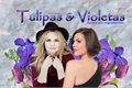 História: Tulipas e Violetas