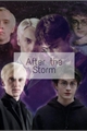 História: After the Storm- Drarry