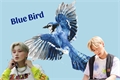 História: Blue Bird - San - Ateez